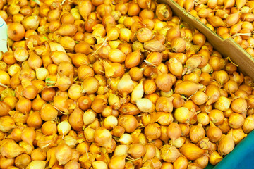 onions at the market