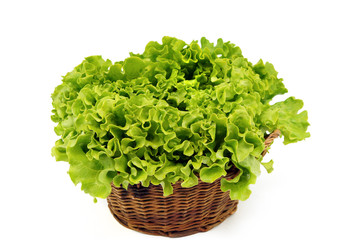 salade laitue batavia vu de face panier osier fond blanc