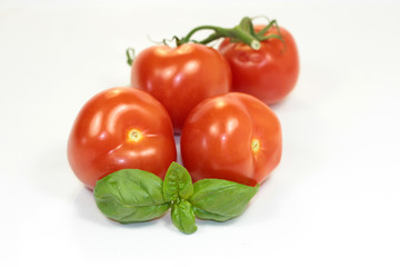 tomates et basilic