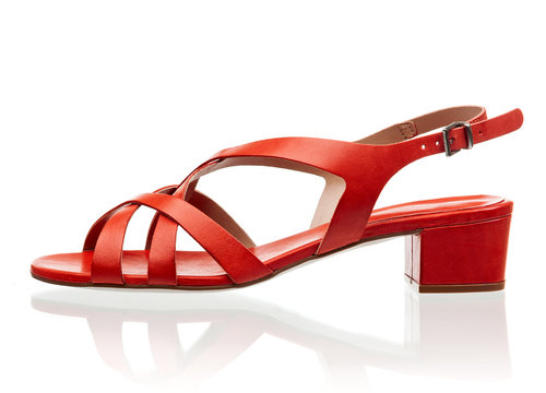 Female Sandal Isolated Over White