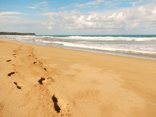 Footprints in sand, Playa El Limon, Dominican Republic