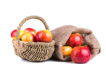 Fresh apple