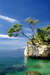 Fototapeta premium Sławna piękna skała z sosnami w Brela w Chorwacja