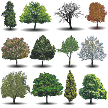 different vector trees