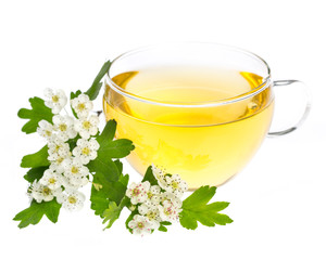 Weißdorn (crataegus monogyna) - Tee mit Blüten und Blättern