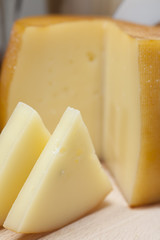 pecorino cheese