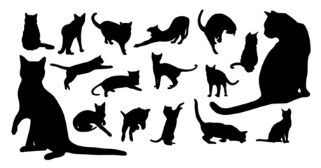 Cat silhouettes