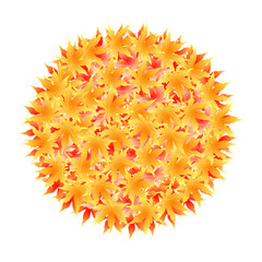 紅葉　秋　もみじ