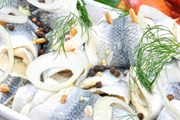 rollmops with dill and peppercorns
