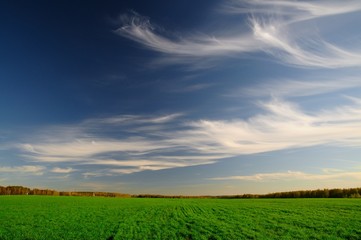 picturesque green field and blue sky