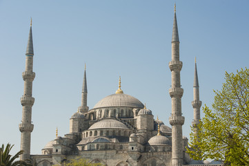 Fototapeta na wymiar View of the Blue Mosque in Istanbul