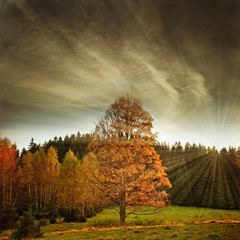 Fototapety  jesienny krajobraz z zachodem słońca