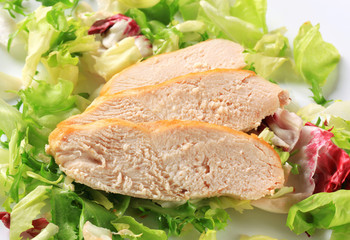 Chicken breast fillet