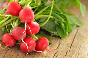 garden radish on old wooden