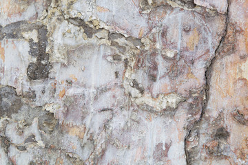 Old ragged wall as grunge background.