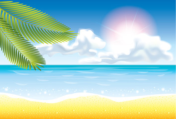 Fototapeta na wymiar summer beach vector background