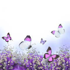 Flowers in a bouquet, blue hydrangeas and butterfly - 52239322