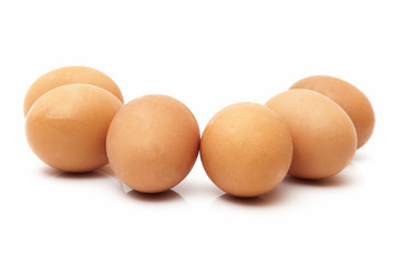 chicken eggs