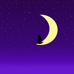 Obraz na płótnie Canvas cat in the moon