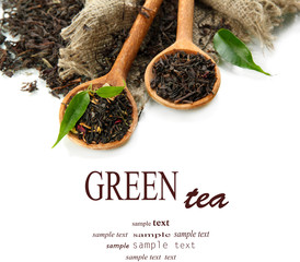 Dry tea with green leaves in wooden spoons, isolated on white