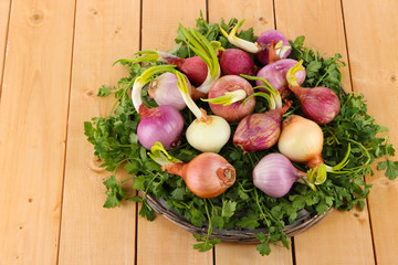 Sprouting onions on board with herbs on wooden table