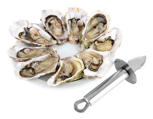 Oysters isolated on white