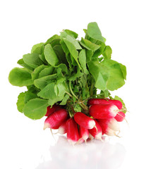 Small garden radish with leaves isolated on white