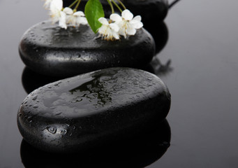 Spa stones and white flowers on dark background