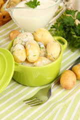 Tender young potatoes with sour cream and herbs in pan