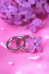 Beautiful wedding rings on pink background