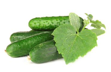 Tasty green cucumbers, isolated on white