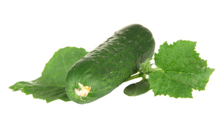 Tasty green cucumbers, isolated on white