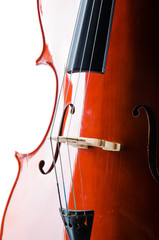 Violin isolated on the white background