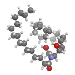 Ceramide cell membrane lipid, molecular model