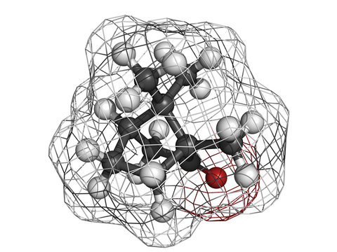 Camphor, chemical structure.