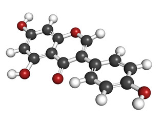 Genistein isoflavone, molecular model