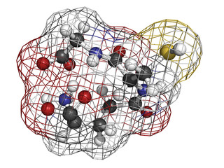 Glutathione antioxidant, molecular model