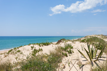 Portugal - Algarve - Praia do Ancao