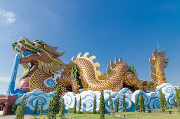 Colorful Dragon