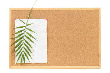 Background with blank crumpled paper and palm leave