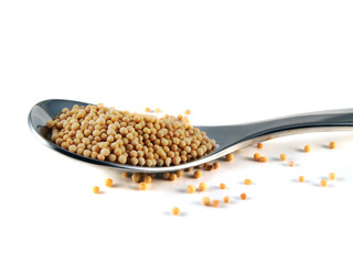 Mustard seeds on the spoon isolated on white