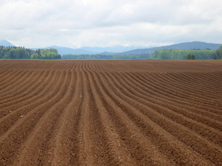 Plowed field in the front