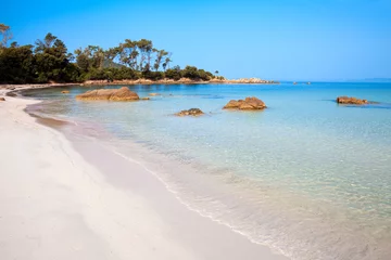 Fotobehang Palombaggia strand, Corsica Landschap van Corsica, strand in Ajaccio