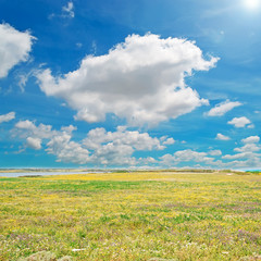 Fototapeta na wymiar meadow and sky