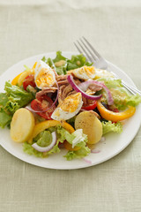 Salad nicoise. Tuna, eggs, potatoes, green beans, tomatoes
