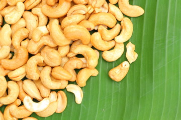 Cashew nut