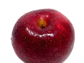 Apple background