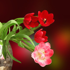 bouquet de tulipes