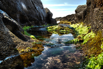 Colorful rock formations near the beach  ( Greece)