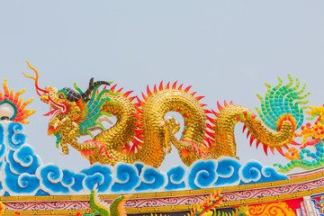 Fototapeta premium dragon